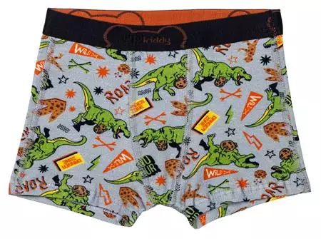 CUECA BOXER INFANTIL COTTON ESTAMPADO (361C5) 361C5