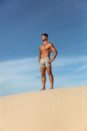 Kit 3 Cuecas Boxer Algodão Egípcio (1K3E1)