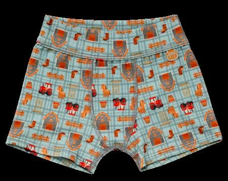 Cuequinha Boxer Algodão Estampada Infantil C/ Cós (367C5) 367C5